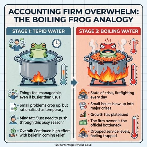 A two-stage analogy shows a frog in a lukewarm pot (stage 1: manageable stress) and a distressed frog in boiling water (stage 3: crisis mode), illustrating growing pressures at an accountancy firm.