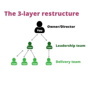 Diagram showing You at the top as Owner/Director, below are the Leadership team, followed by the Delivery team at the bottom, illustrating a 3-layer company structure. This is one way for How to stop being the bottleneck in your accounting practice